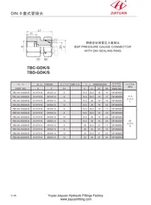 BSP manometro adapterio metrinės pasukamos jungiamosios dalys