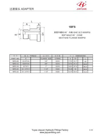 SAE kodas 62 jungės jungtys BSP 60